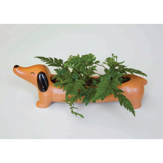 kikkerland daisy the dachshund planter